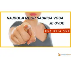 Voćne sadnice - nabolji kvalitet