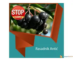 Neverovatna ponuda voćnih sadnica za 2016