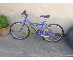 Bicikl BoxxER Action 2400 - 2