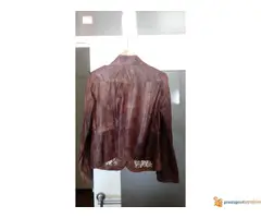 Zenska kozna kratka jakna