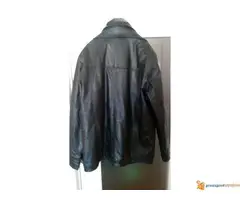 Muska zimska kozna jkna