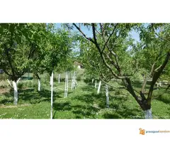 Kuća u najlepšem delu Banje - 5