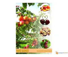VOĆNE SADNICE - 4