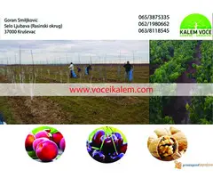 ZZ KALEM VOCE-NAJBOLJI KVALITET I NAJBOLJE CENE - 3