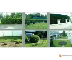 Automatsko zalivanje Beograd