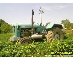 Plantaze Jagoda Pavic