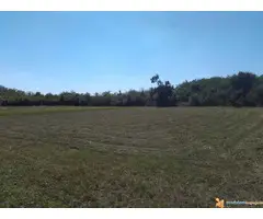 Kuca 200m2 i plac 1 ha