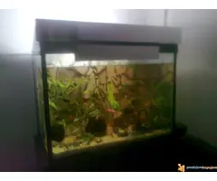 Potpuno opremljen akvarijum od 150l sa ribicama