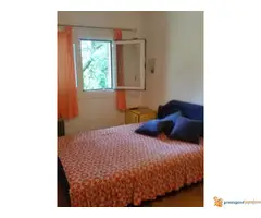 Kuca sa bastom 33+12m2,basta 2,6a privatnost - 6