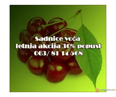 30% Popust - Voćne sadnice LETNJA AKCIJA