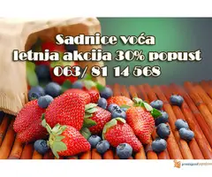 30% Popust - Voćne sadnice LETNJA AKCIJA - 2