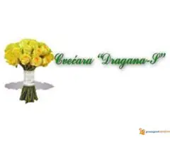 Cvecara Dragana S - 6