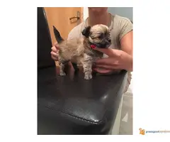 Na prodaju stenci civave - 2