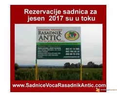 Najbolja cena za ugovaranje sadnica voća i vinove loze...za Jesen 2017