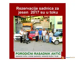 Najbolja cena za ugovaranje sadnica voća i vinove loze...za Jesen 2017 - 2