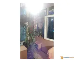 Garsonjera 32 m2 na VPR u Gornjomatejevačkoj u Nišu!!! - 7