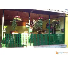 Kuća u Čurugu i za biznis i za život - 4