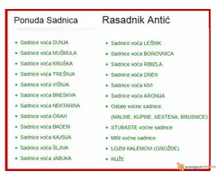 Sadnice voća - hit jesenja cena u Rasadniku Antić - 2