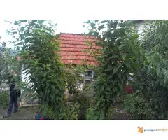 Prodajem kucu u Prokuplju - 6